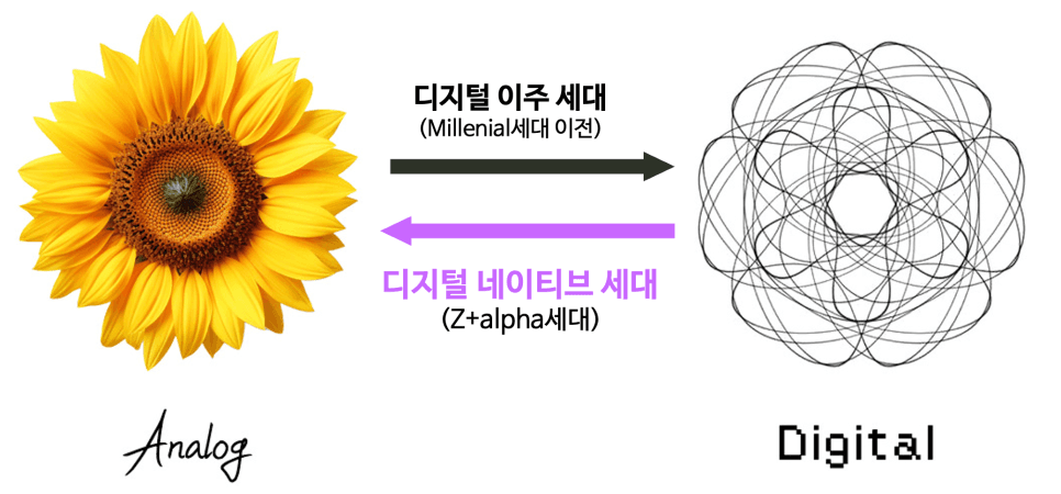 프로젝트 이미지