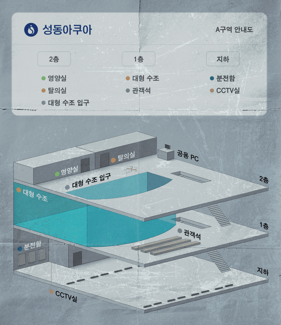 프로젝트 이미지