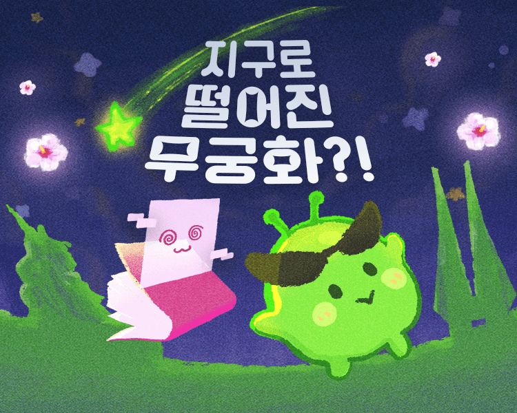 프로젝트 이미지