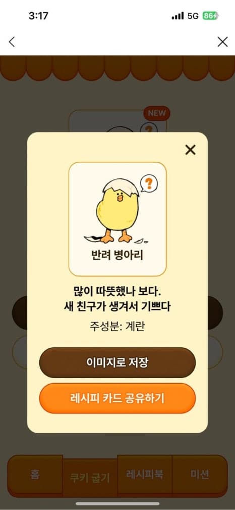 프로젝트 이미지