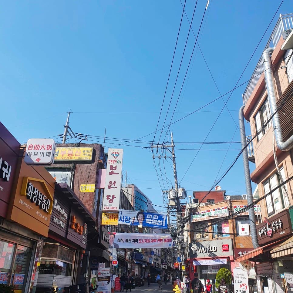 프로젝트 이미지