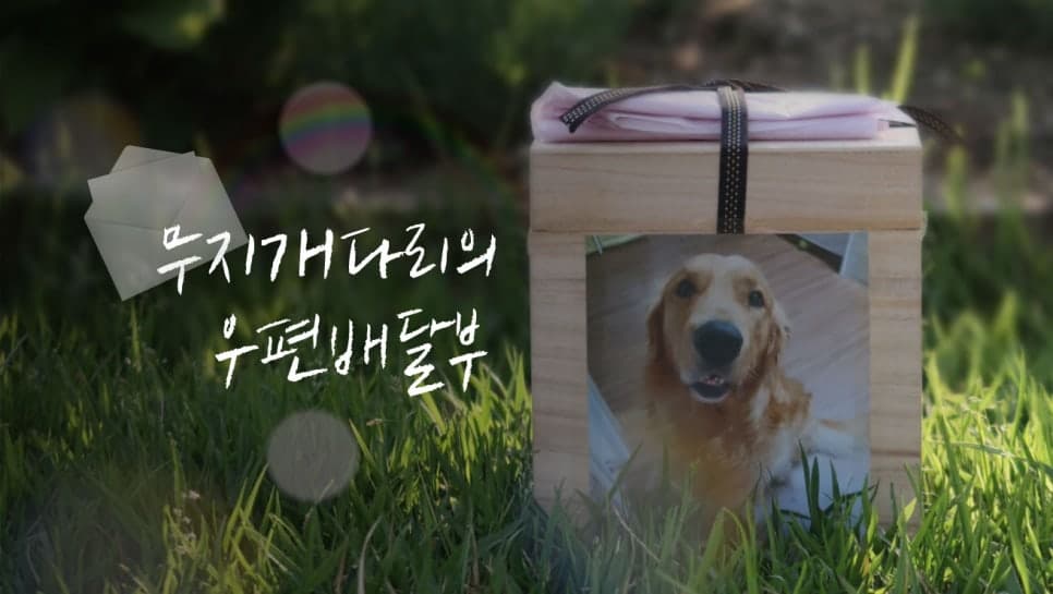 프로젝트 이미지