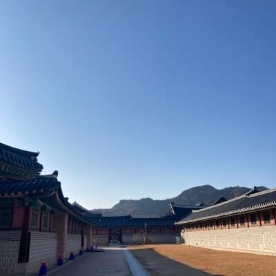 프로젝트 이미지