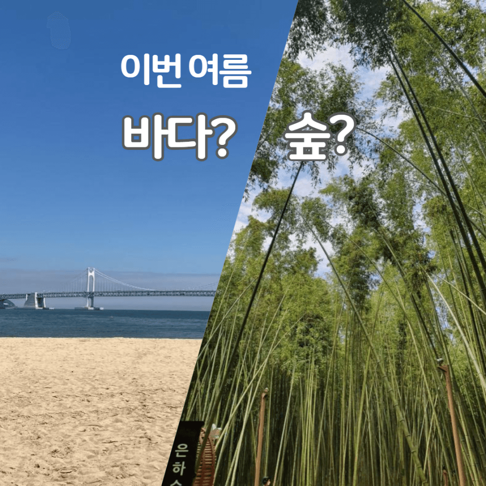 프로젝트 이미지