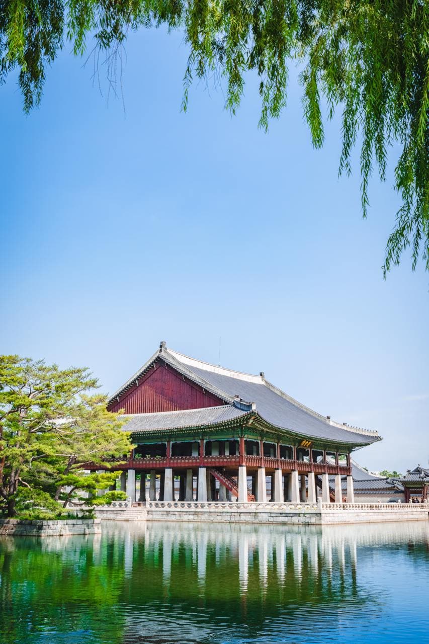프로젝트 이미지