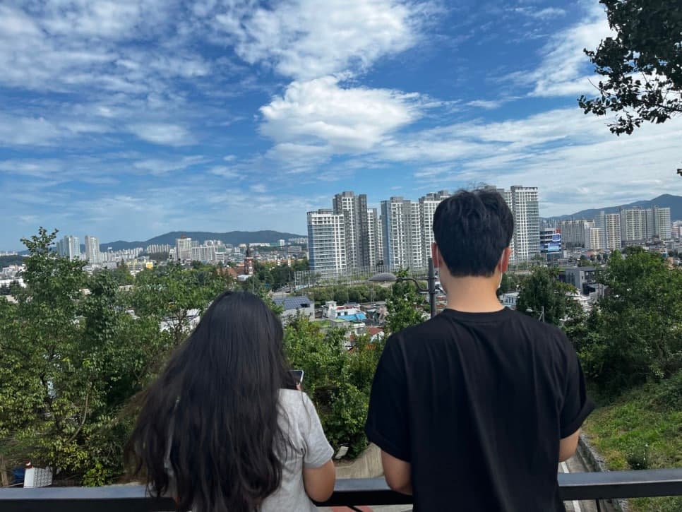 프로젝트 이미지