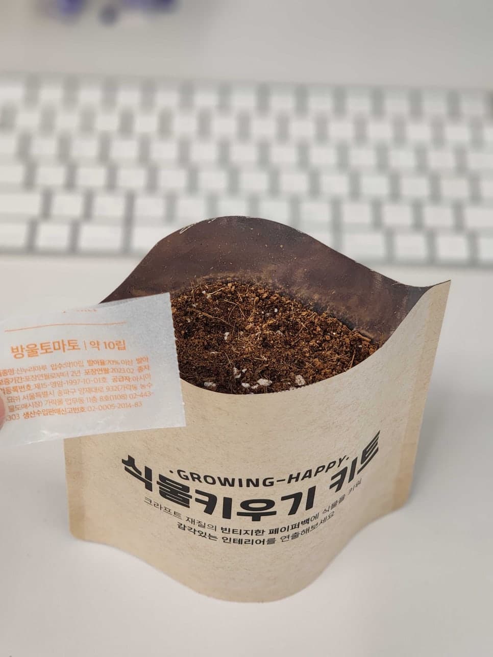 프로젝트 이미지