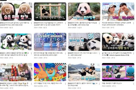 프로젝트 이미지