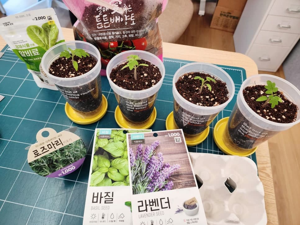 프로젝트 이미지