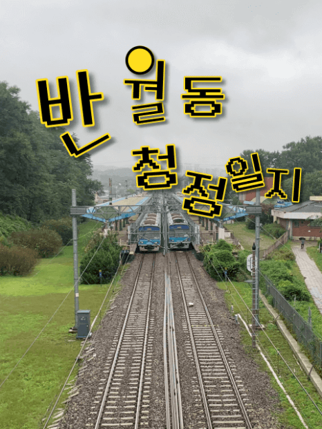 프로젝트 이미지