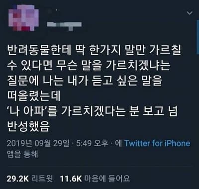 프로젝트 이미지