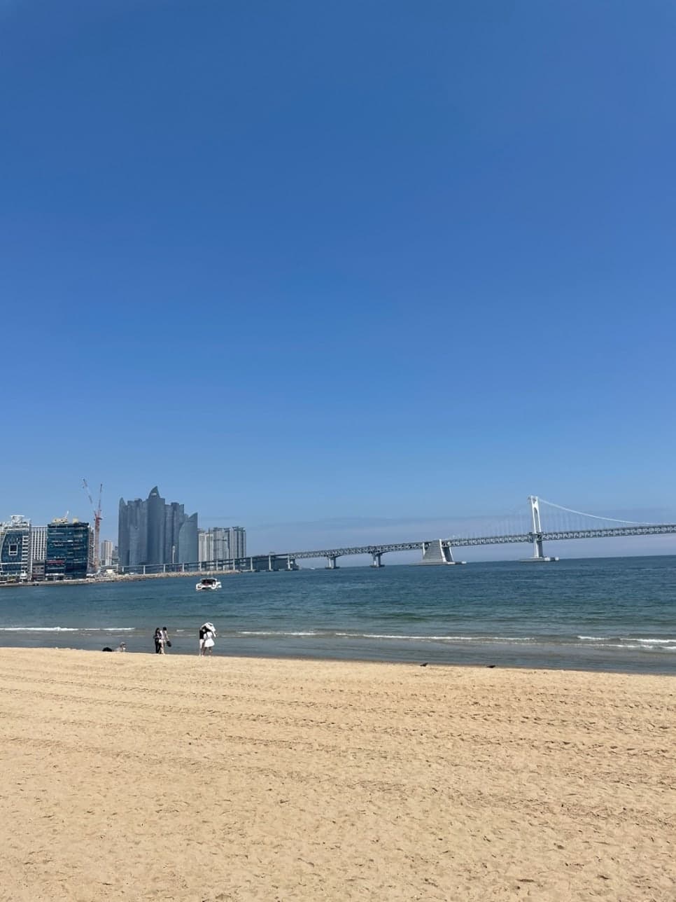 프로젝트 이미지