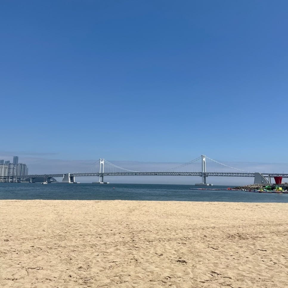 프로젝트 이미지