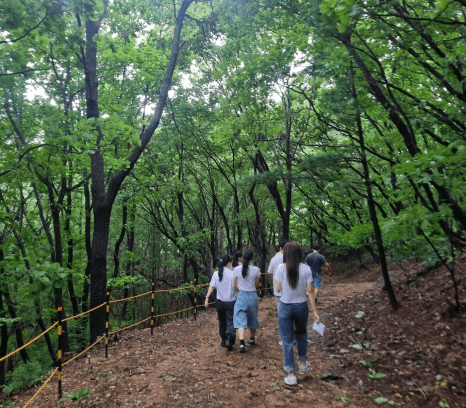 프로젝트 이미지