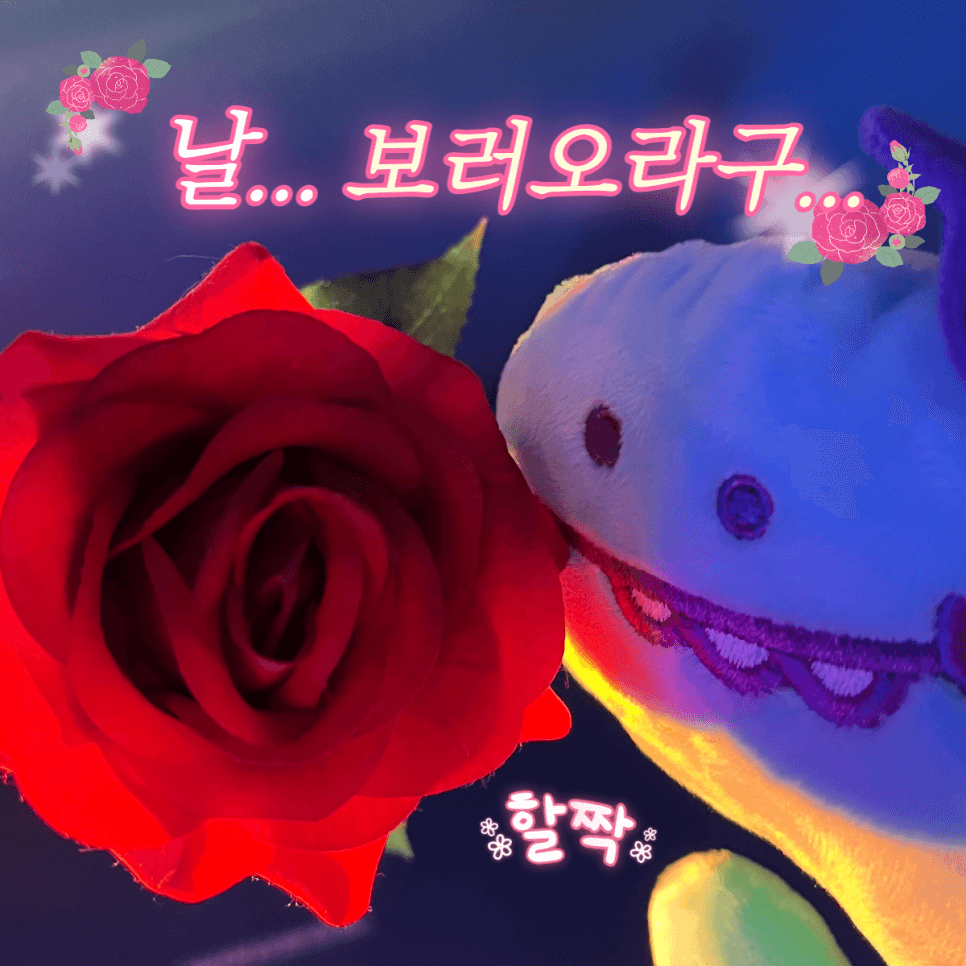 프로젝트 이미지