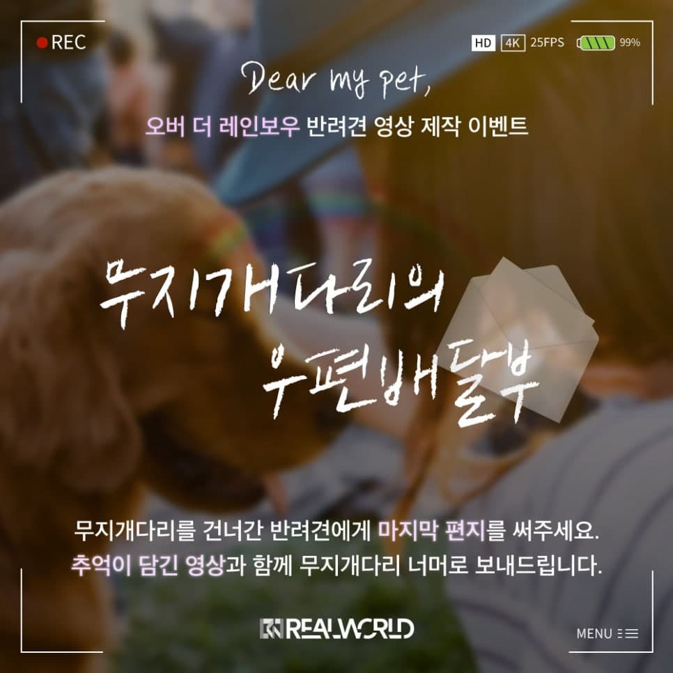 오버더레인보우 반려견 영상 제작 이벤트 - 무지개다리의 우편배달부