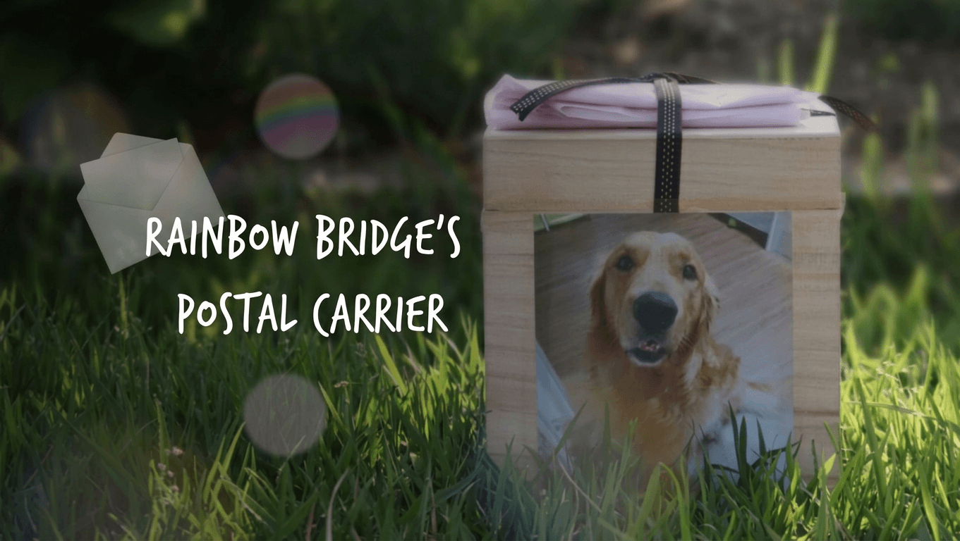 Over the Rainbow Event - Mailman of the Rainbow Bridge Video Released